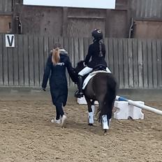 Dartmoor Innis Nissen