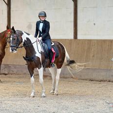 Pinto Sønderstrands buzz light year