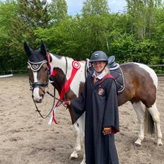 Pinto Sønderstrands buzz light year