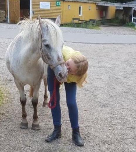 Knabstrupper Frøken Pippi  billede 1