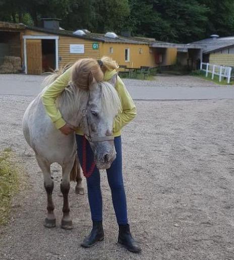 Knabstrupper Frøken Pippi  billede 8