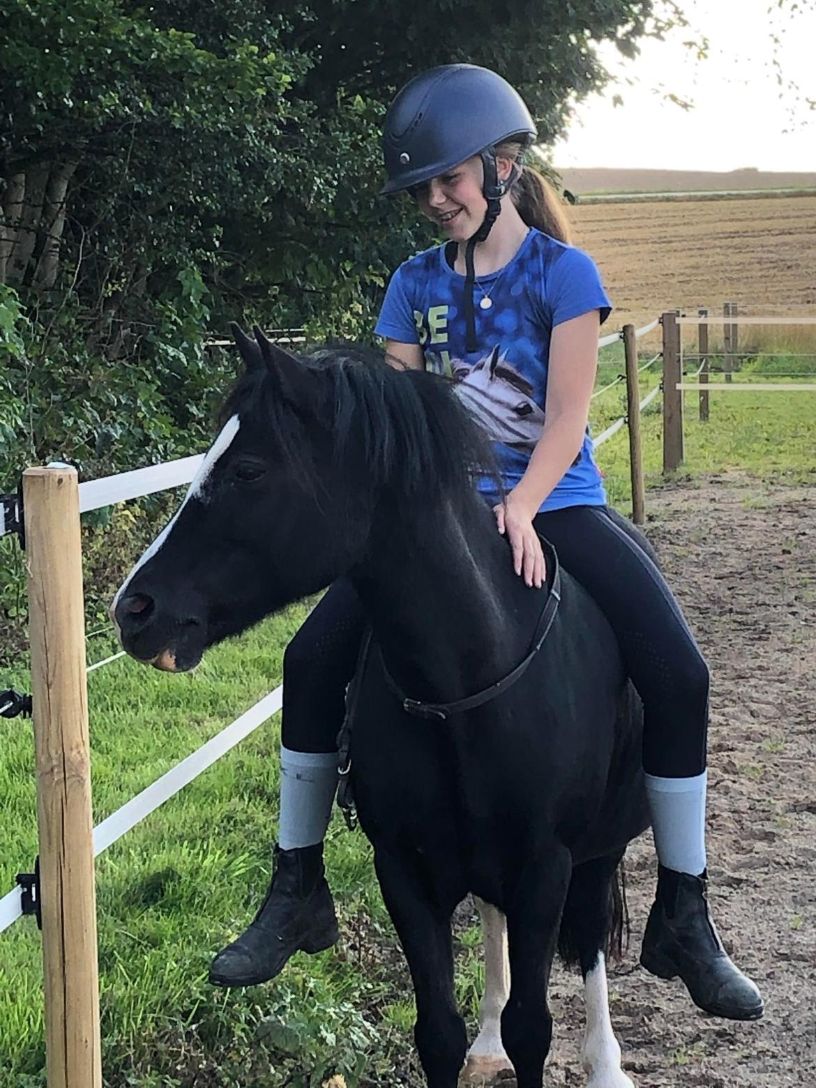 Welsh Mountain (sec A) Midnights Maja - Sødeste Maja med min venine, det var hende der fandt ud af at maja godt kunne rides i cordeo❤❤❤ billede 2