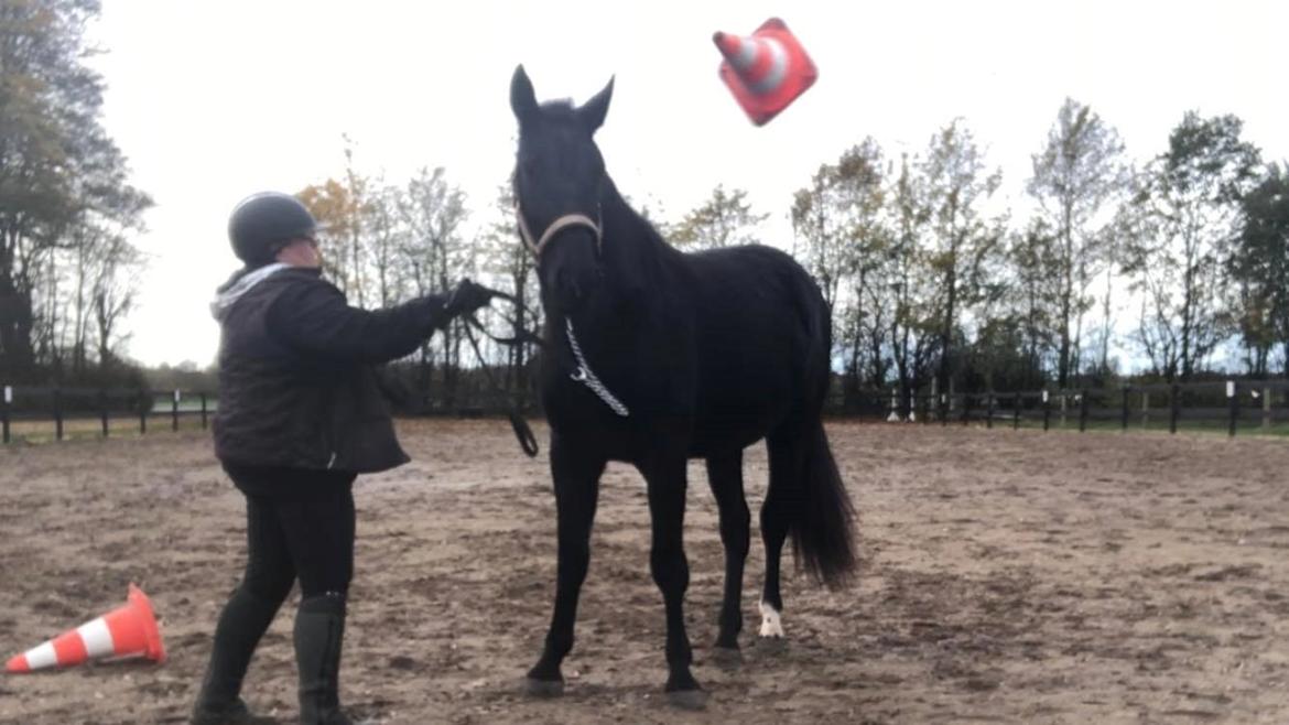 Oldenborg Lenoa højbogård billede 11