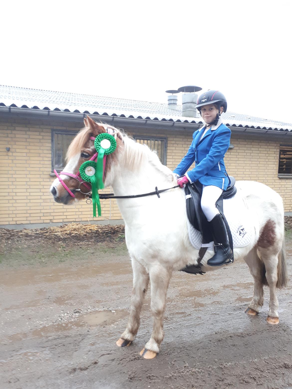 Anden særlig race Line - 11. december 2021. Mynte og Line første stævne billede 20