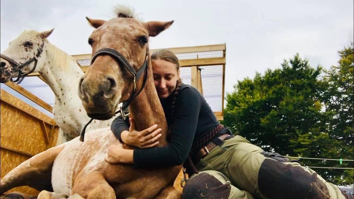 Knabstrupper Sartors Cassiopeia billede 17