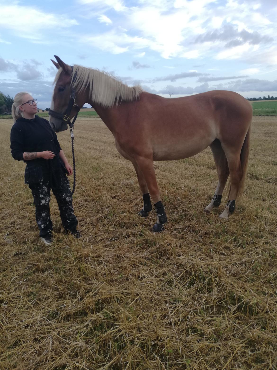 Frederiksborg Lillegaards Just A Dream  billede 11