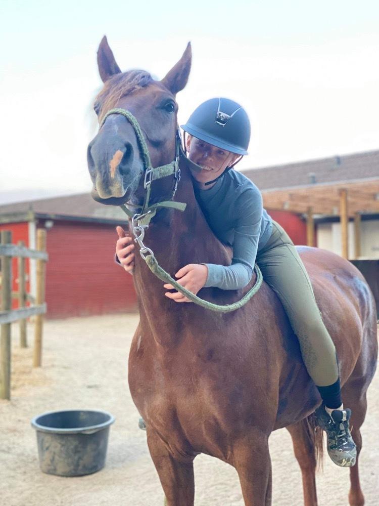 Anden særlig race Taco(lånehest) billede 6