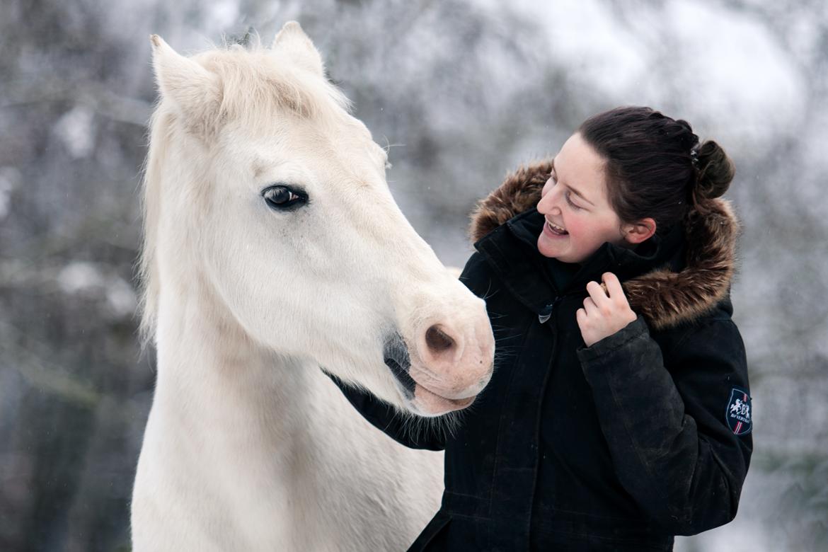 DSP Tranholms Maici - Billede af Anna Archinger (https://www.instagram.com/annaarchinger_photography/) billede 12