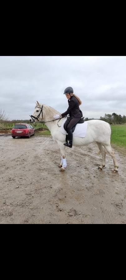 Anden særlig race RIP Chili Is Hot 20/12-2021 billede 13