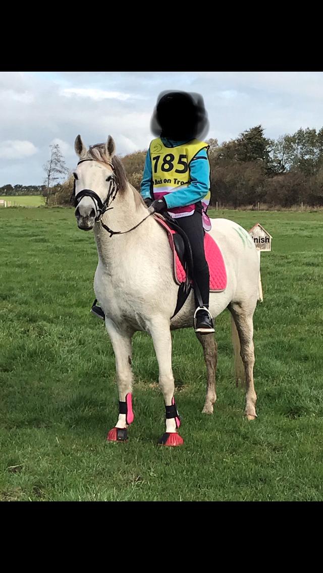 Anden særlig race RIP Chili Is Hot 20/12-2021 billede 14