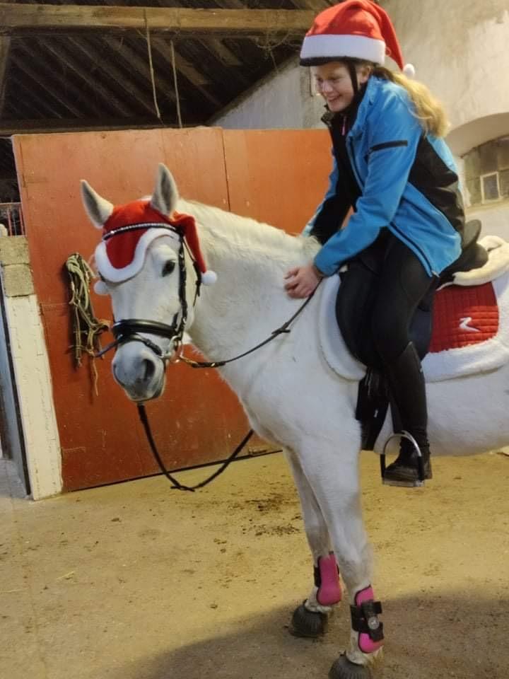 Anden særlig race RIP Chili Is Hot 20/12-2021 billede 16