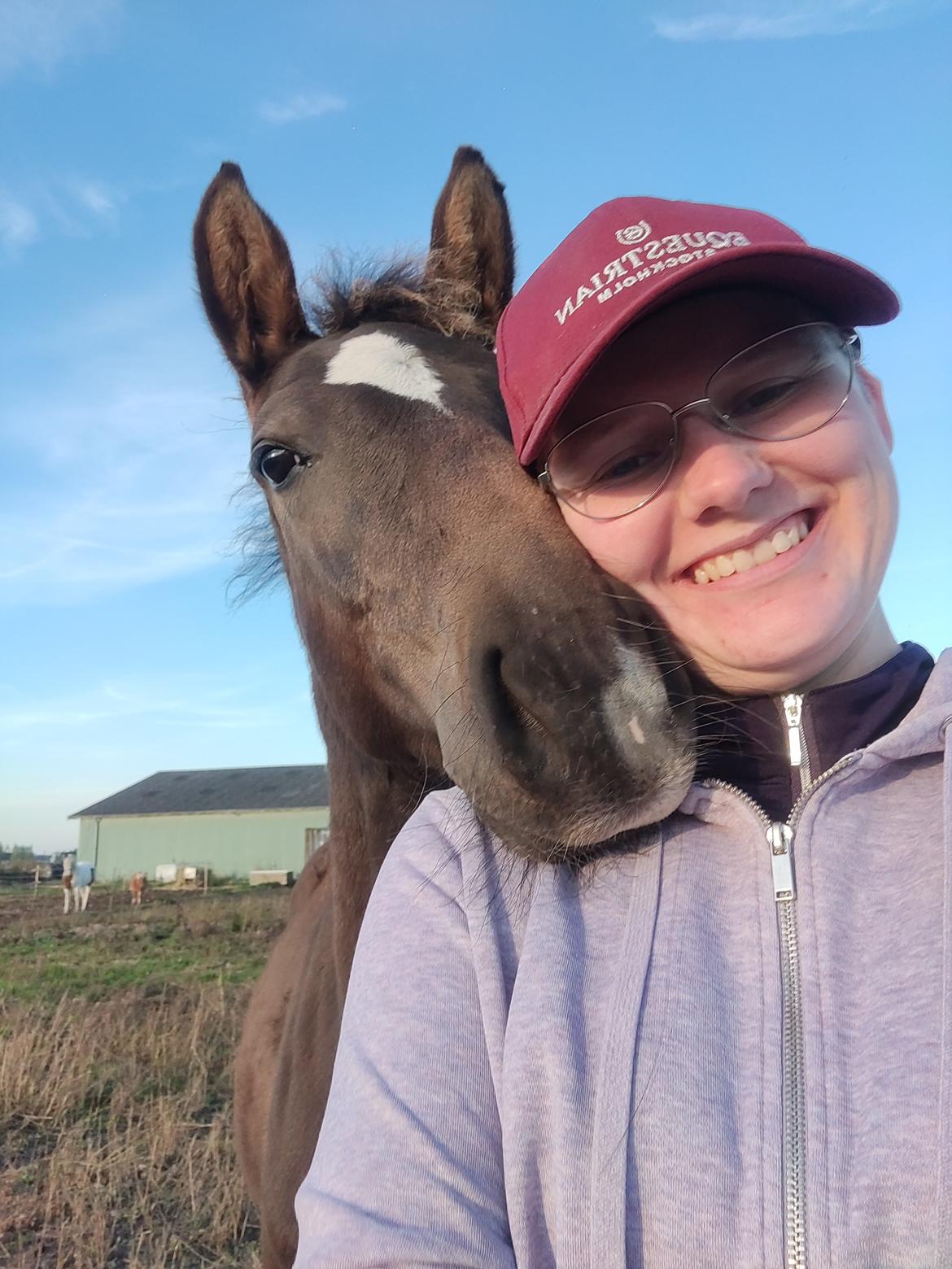 Anden særlig race Stald B's Be Curious billede 5