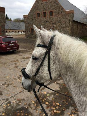 Connemara Killea Cove billede 4