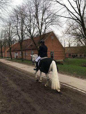 Connemara Killea Cove billede 6