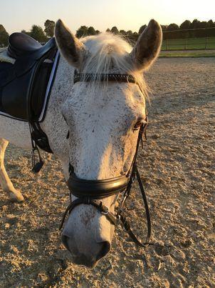 Connemara Killea Cove billede 3