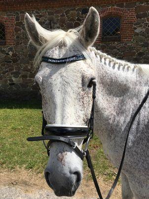 Connemara Killea Cove billede 11