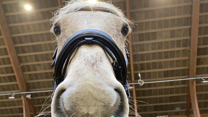 Connemara Killea Cove billede 15