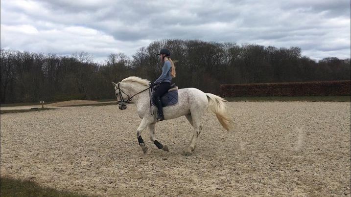 Connemara Killea Cove billede 8