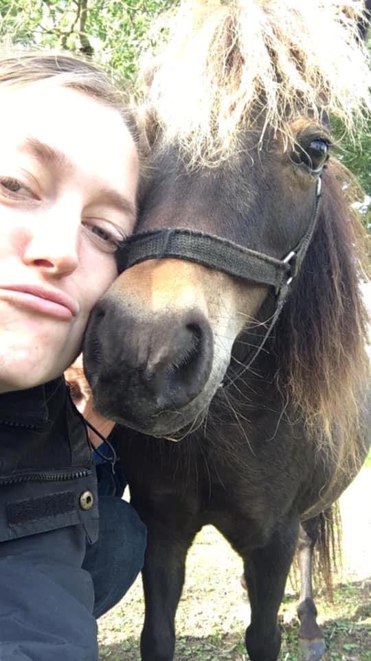 Miniature Alamos buckaroo charmer billede 2