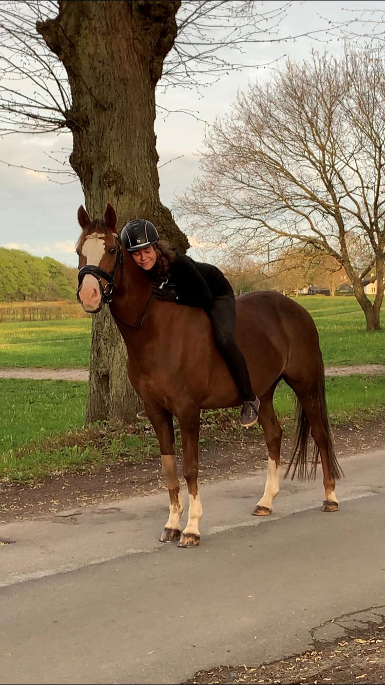 DSP Lykkehøjs Arabelle billede 3