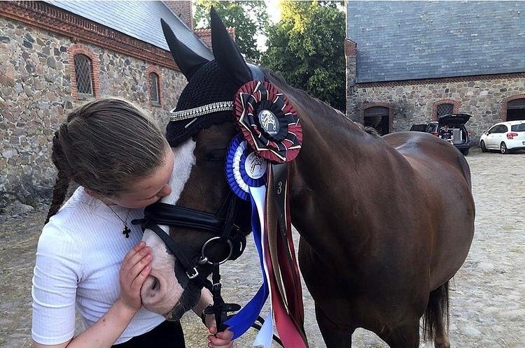 DSP Lykkehøjs Arabelle billede 4