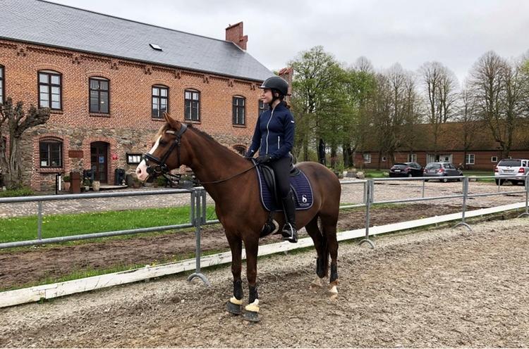 DSP Lykkehøjs Arabelle billede 2