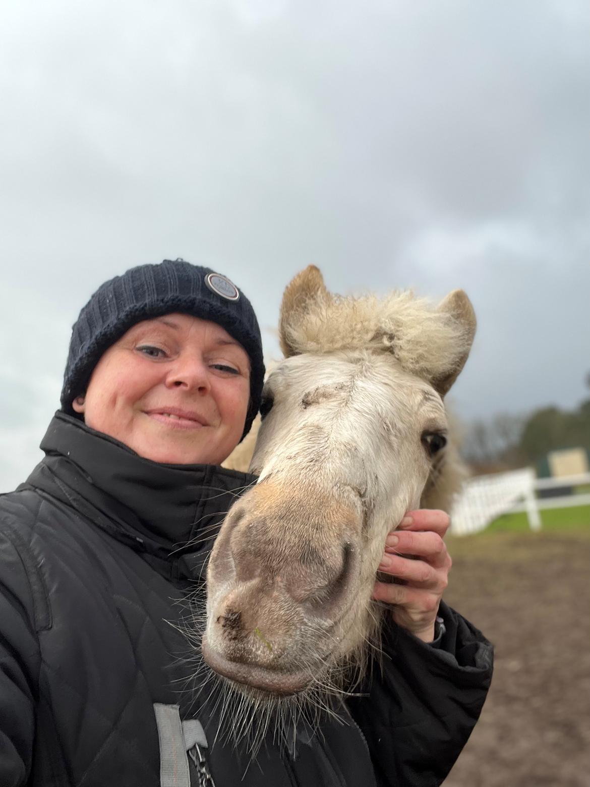 Islænder Sía fra Lundegårde billede 33