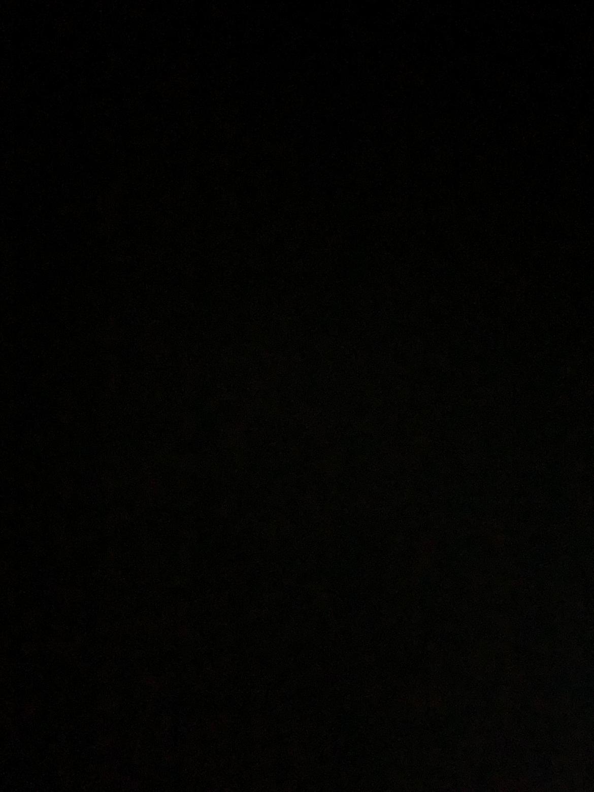 Welsh Mountain (sec A) Pony billede 3