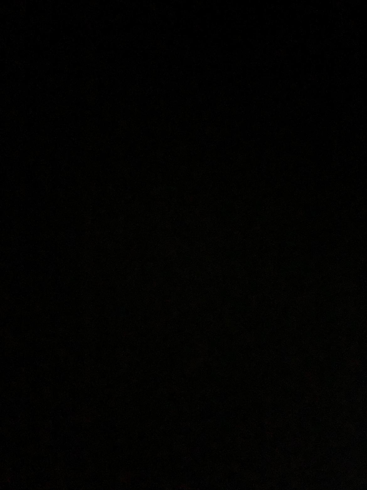 Welsh Mountain (sec A) Pony billede 5