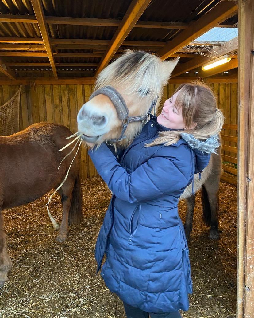 Fjordhest Søholmegårds Felix - Da jeg var ude og kigge på Felix, dagen før jeg hentede ham hjem  billede 4