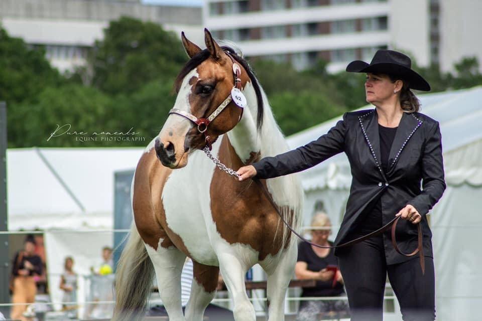 Paint LBS Katie Dun billede 5