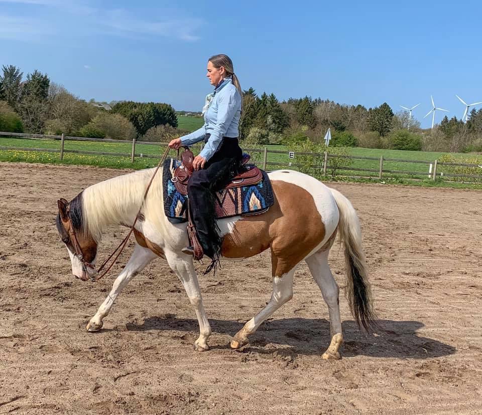 Paint LBS Katie Dun billede 3