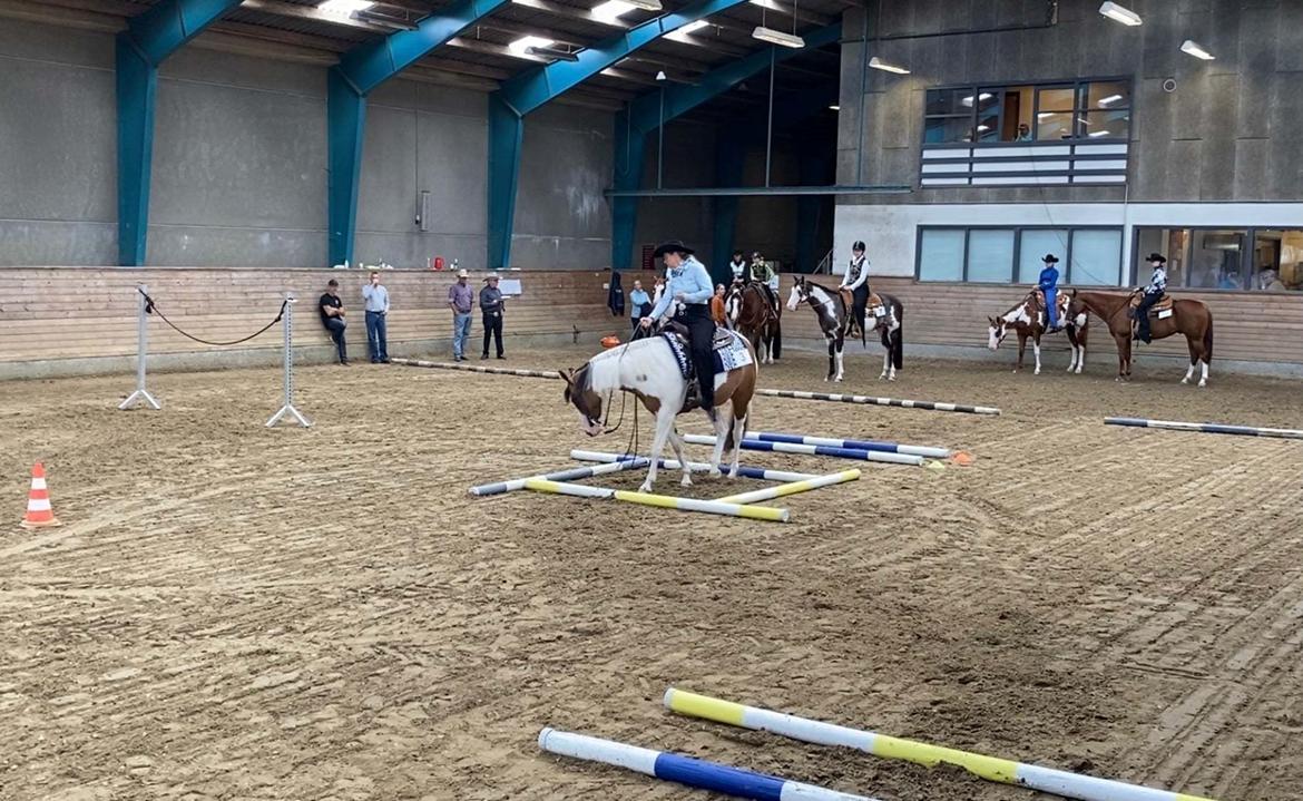 Paint LBS Katie Dun billede 7