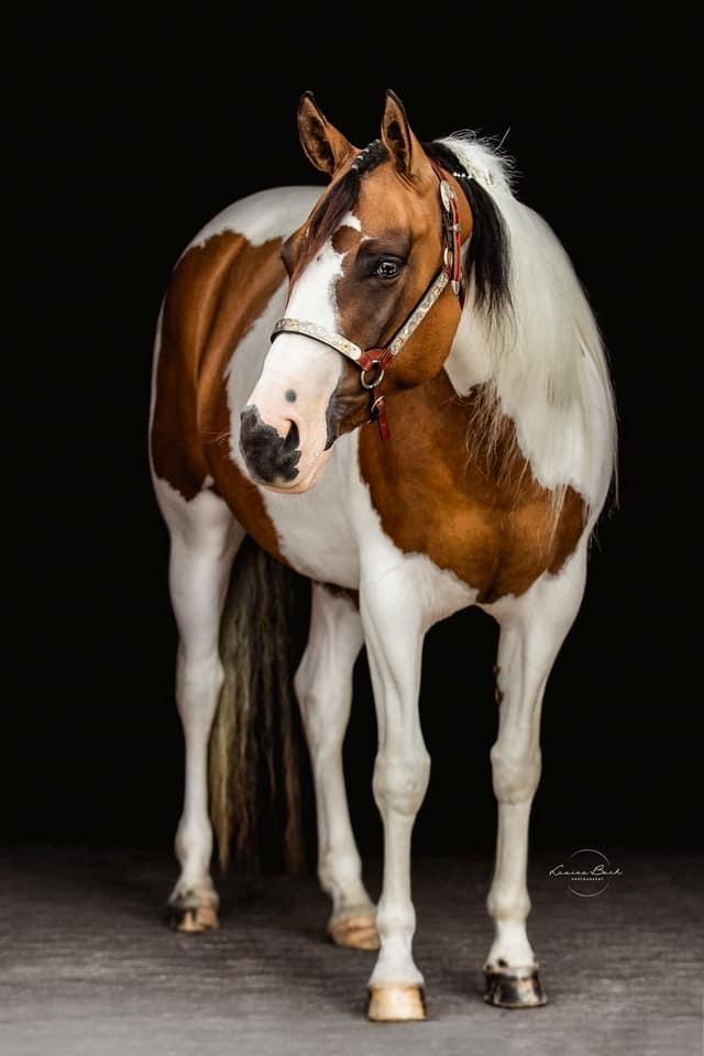 Paint LBS Katie Dun billede 1