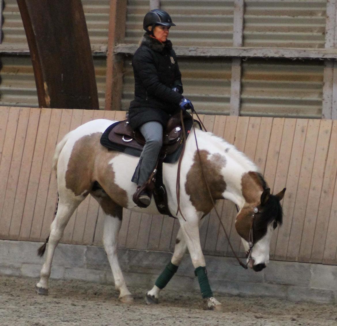 Paint LBS Katie Dun billede 8