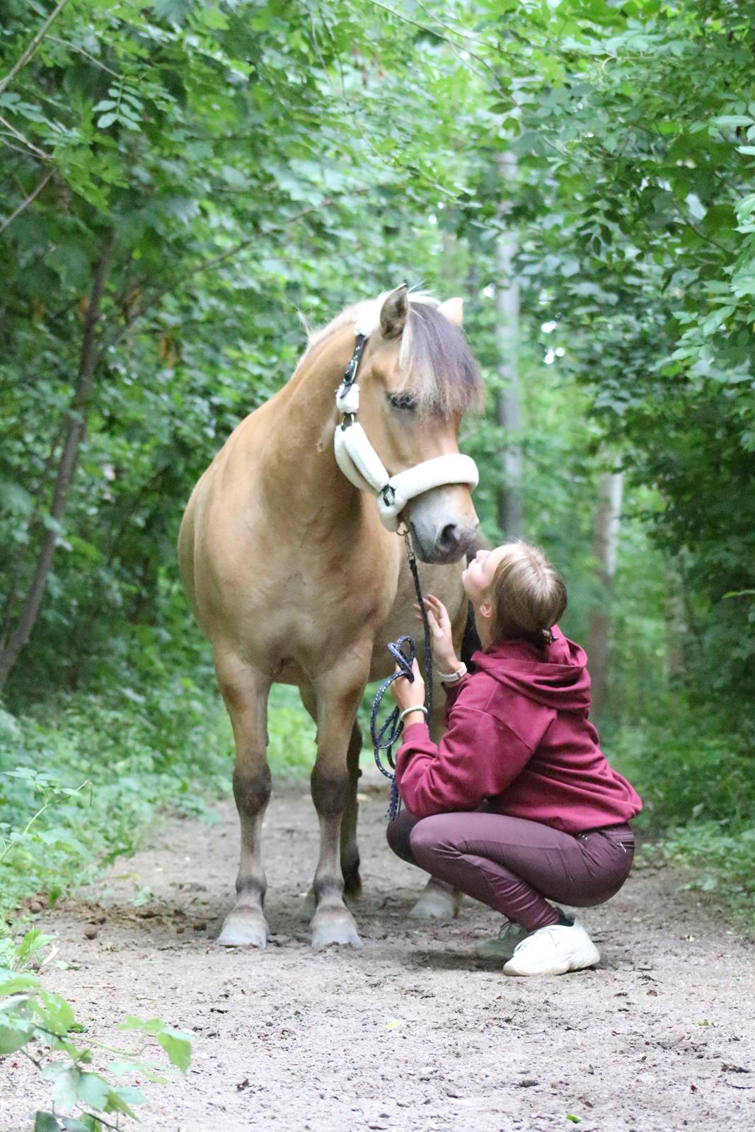Anden særlig race Tobias billede 7