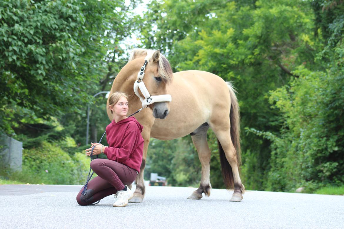 Anden særlig race Tobias billede 10