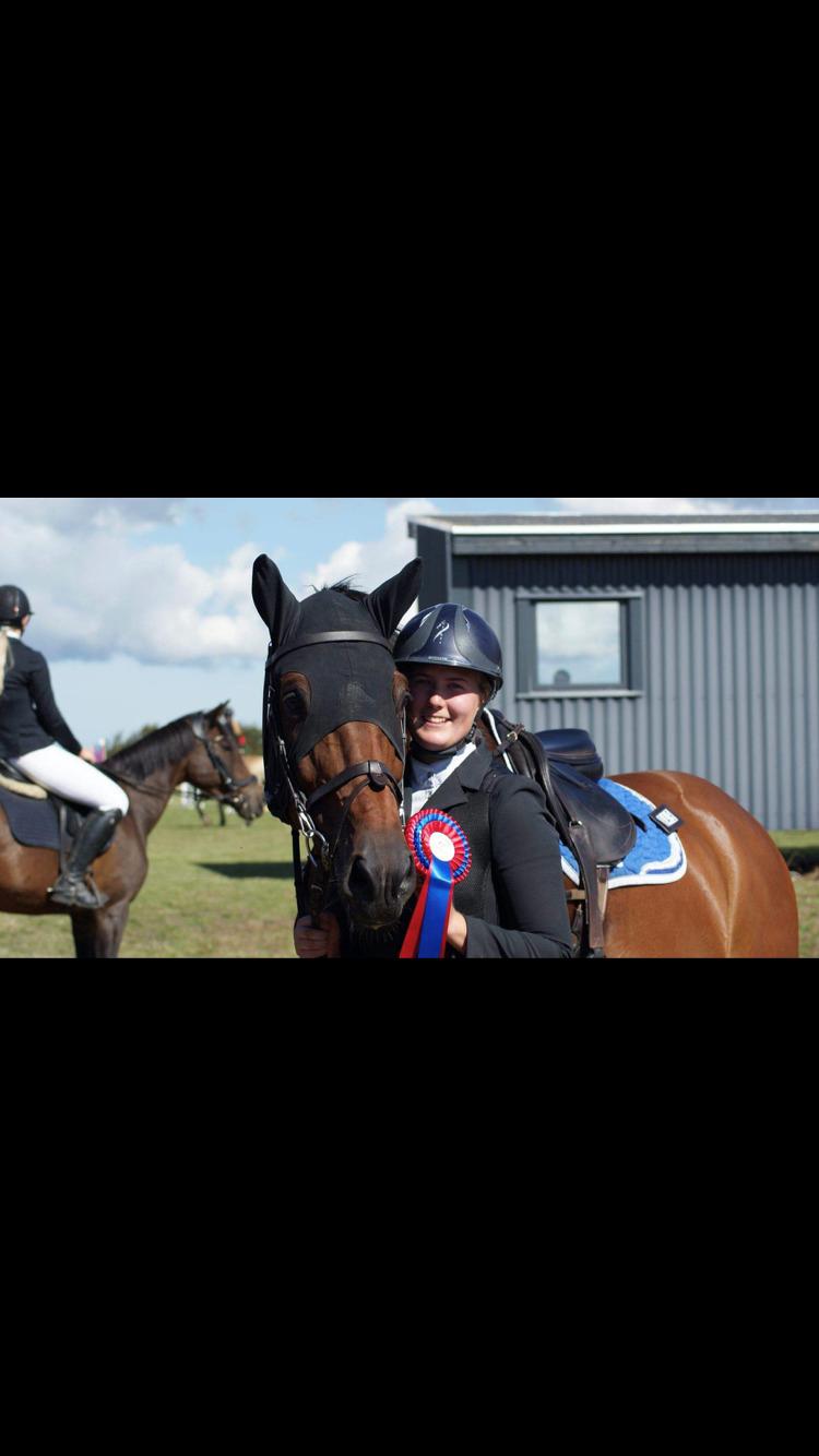 Dansk Varmblod Hard to beat billede 6