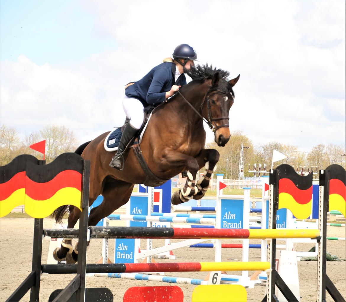 Holstener Catoona billede 1