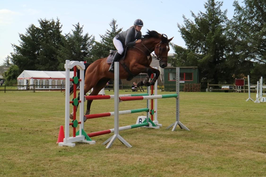 Dansk Varmblod Hard to beat billede 8