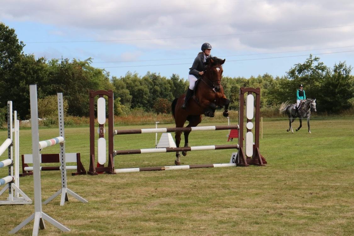 Dansk Varmblod Hard to beat billede 9