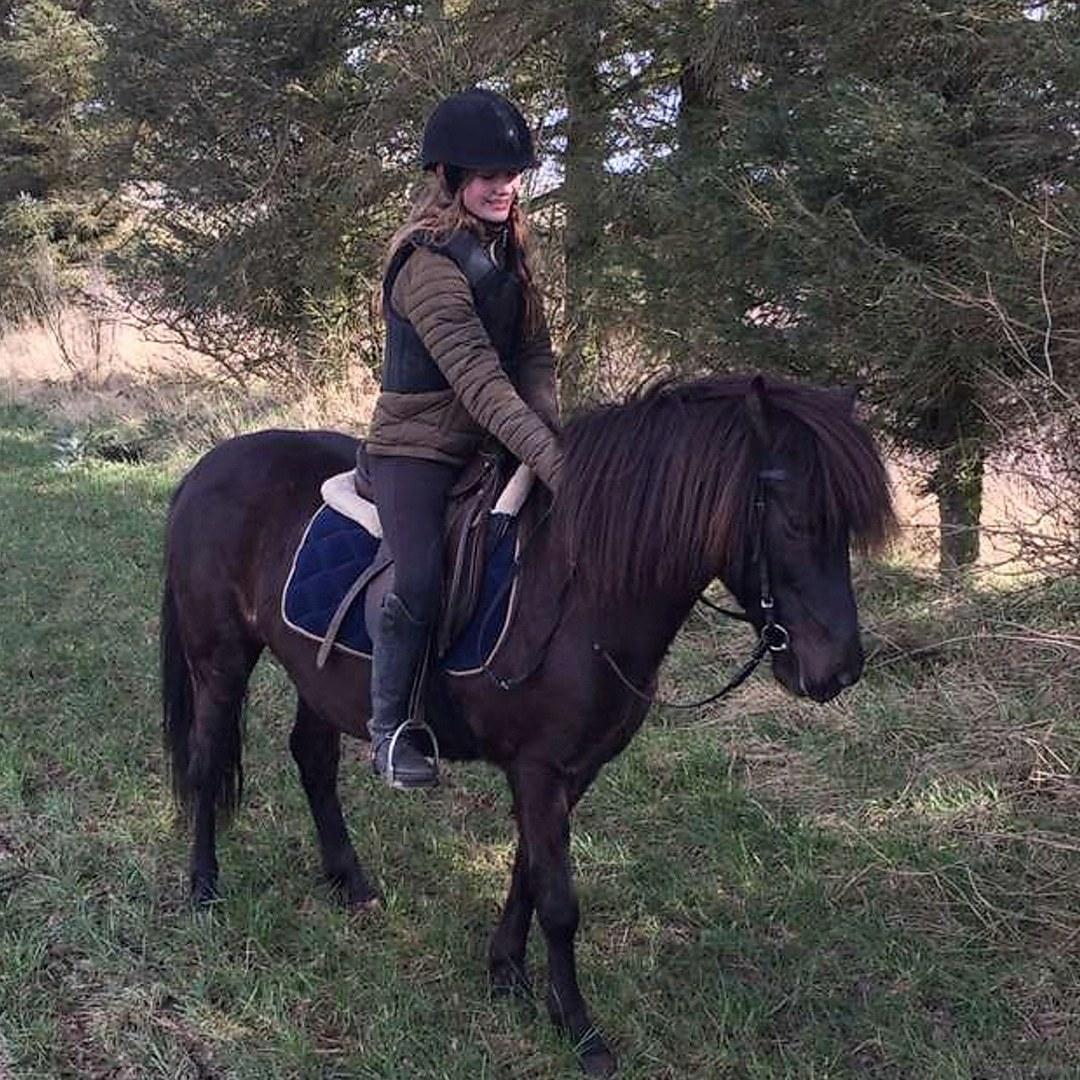 Islænder Thokka billede 7