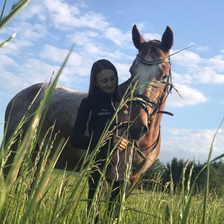 Knabstrupper Cassandra H billede 7