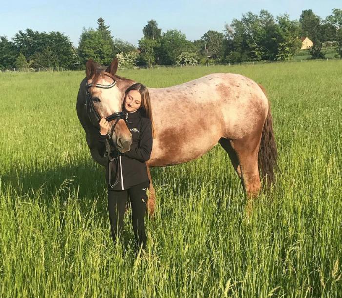 Knabstrupper Cassandra H billede 9