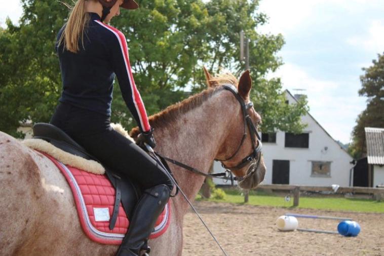 Knabstrupper Cassandra H billede 22