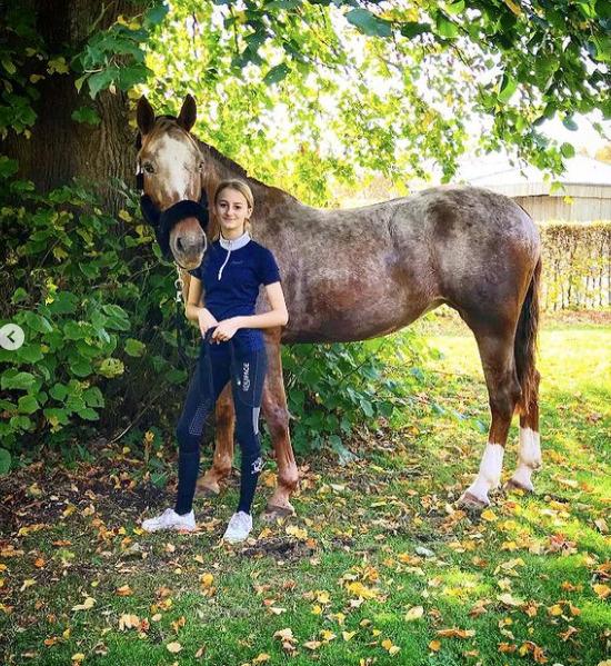 Knabstrupper Cassandra H billede 29