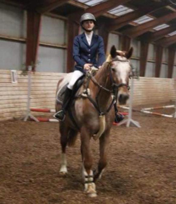 Knabstrupper Cassandra H billede 35