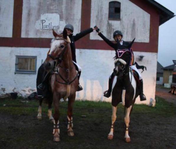 Knabstrupper Cassandra H billede 39