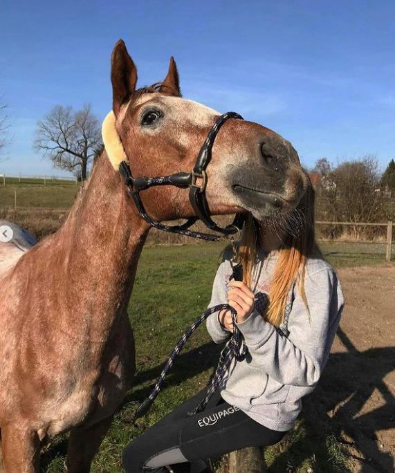 Knabstrupper Cassandra H billede 40