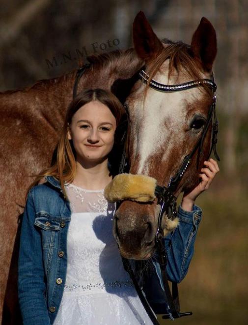 Knabstrupper Cassandra H billede 46